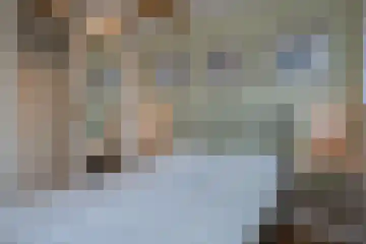 Vierschotenweg 14 't Loo Oldebroek thumbnail 36
