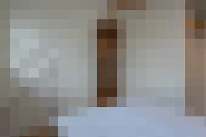 Vierschotenweg 14 't Loo Oldebroek thumbnail 37