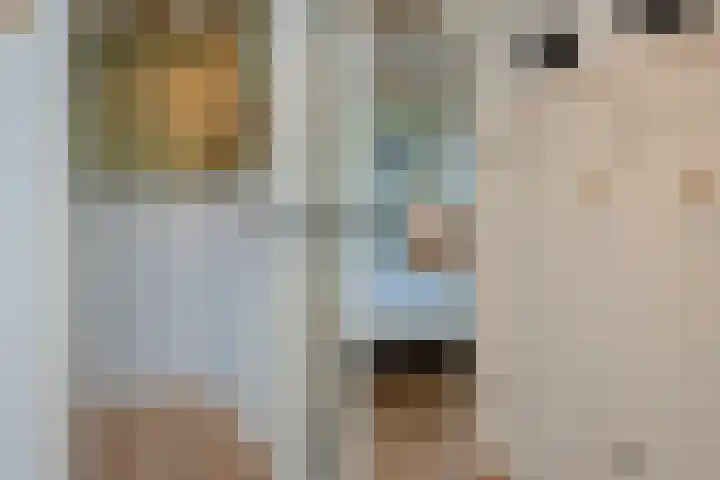 Vierschotenweg 14 't Loo Oldebroek thumbnail 38