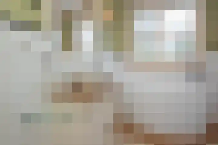 Vierschotenweg 14 't Loo Oldebroek thumbnail 39