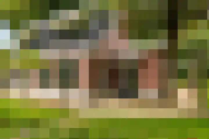 Vierschotenweg 14 't Loo Oldebroek thumbnail 4