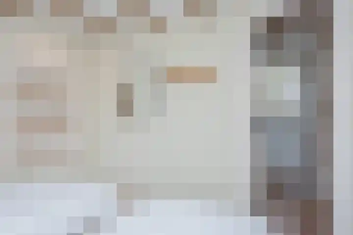 Vierschotenweg 14 't Loo Oldebroek thumbnail 44