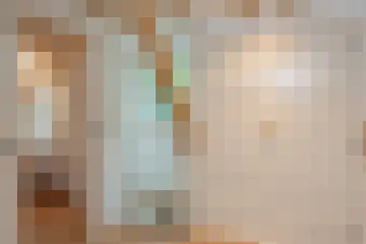 Vierschotenweg 14 't Loo Oldebroek thumbnail 45