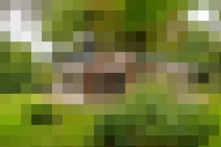 Vierschotenweg 14 't Loo Oldebroek thumbnail 48