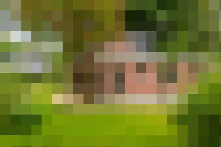 Vierschotenweg 14 't Loo Oldebroek thumbnail 49