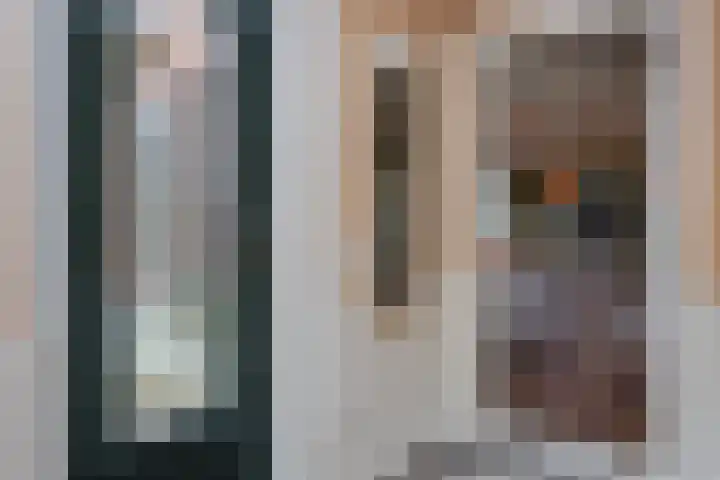 Vierschotenweg 14 't Loo Oldebroek thumbnail 5