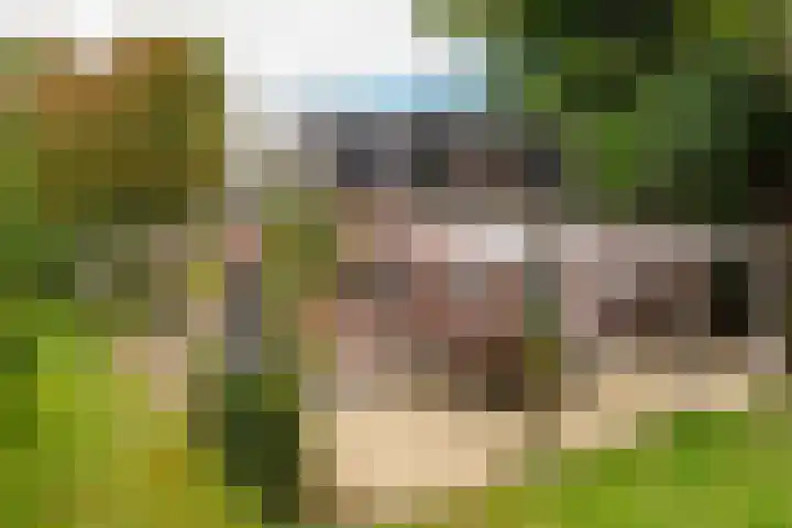 Vierschotenweg 14 't Loo Oldebroek thumbnail 50