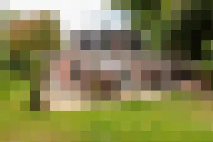 Vierschotenweg 14 't Loo Oldebroek thumbnail 51