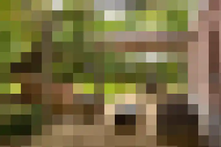 Vierschotenweg 14 't Loo Oldebroek thumbnail 52