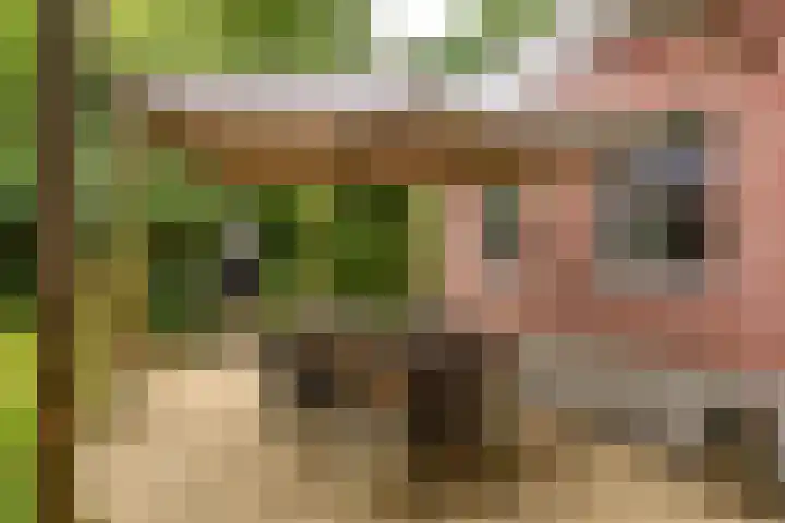 Vierschotenweg 14 't Loo Oldebroek thumbnail 53