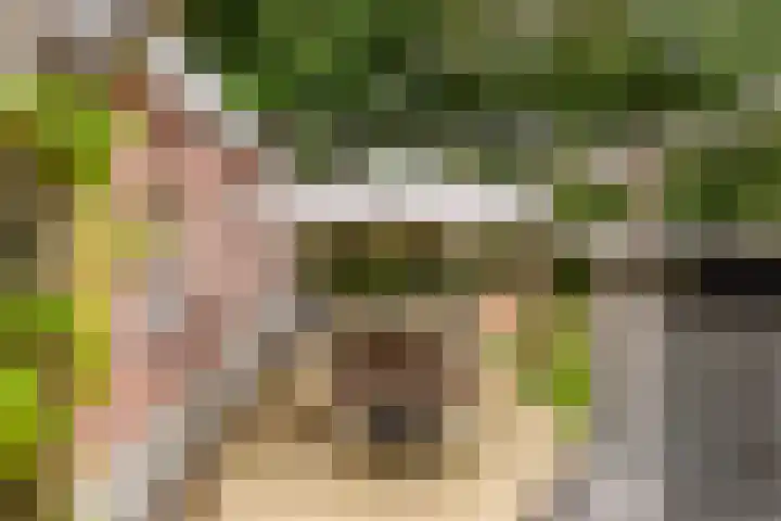 Vierschotenweg 14 't Loo Oldebroek thumbnail 54