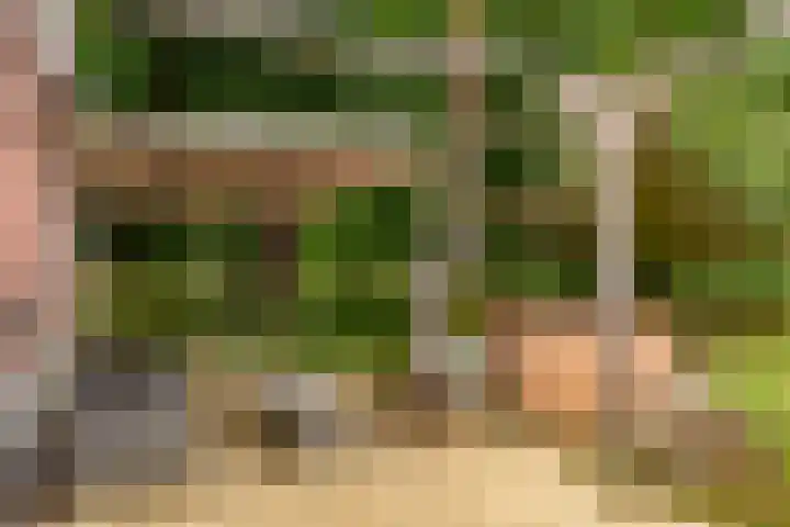 Vierschotenweg 14 't Loo Oldebroek thumbnail 55