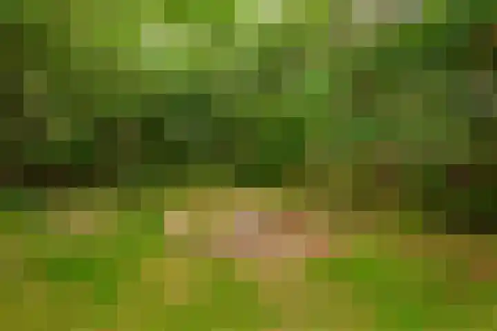 Vierschotenweg 14 't Loo Oldebroek thumbnail 56
