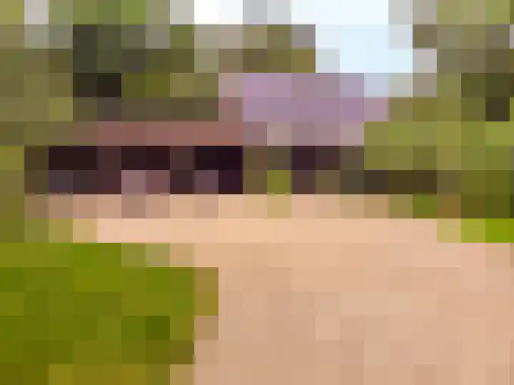 Vierschotenweg 14 't Loo Oldebroek thumbnail 58