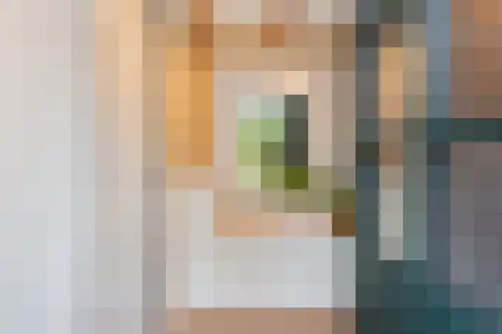 Vierschotenweg 14 't Loo Oldebroek thumbnail 61