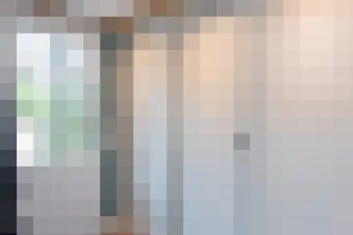 Vierschotenweg 14 't Loo Oldebroek thumbnail 62