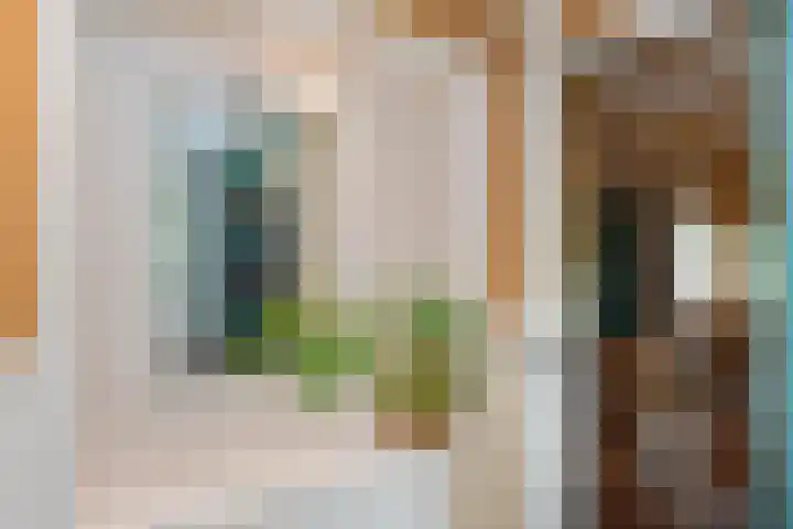Vierschotenweg 14 't Loo Oldebroek thumbnail 63