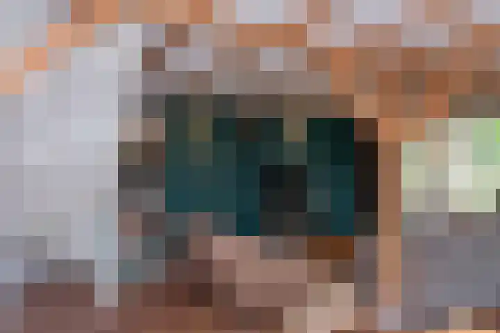 Vierschotenweg 14 't Loo Oldebroek thumbnail 64