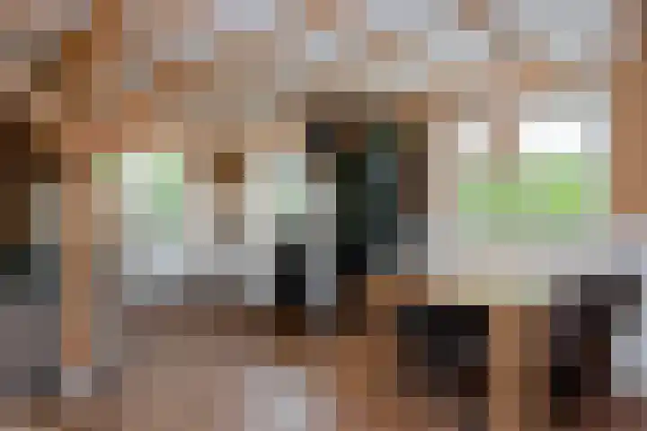 Vierschotenweg 14 't Loo Oldebroek thumbnail 66