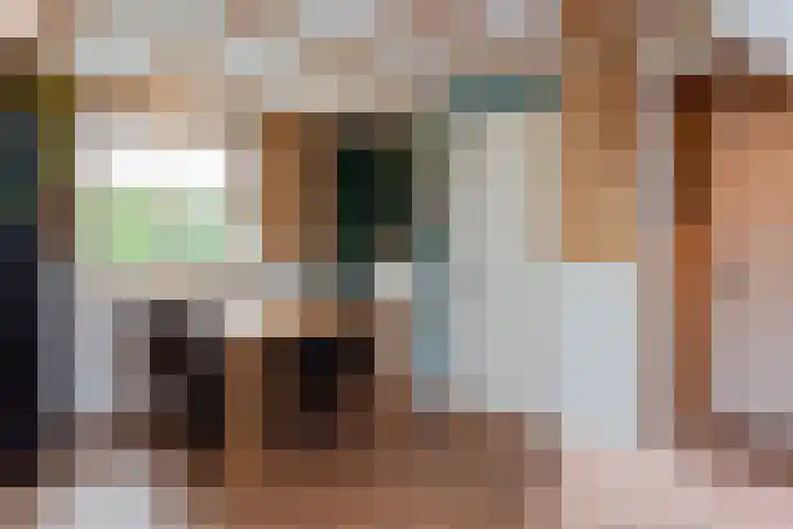 Vierschotenweg 14 't Loo Oldebroek thumbnail 67