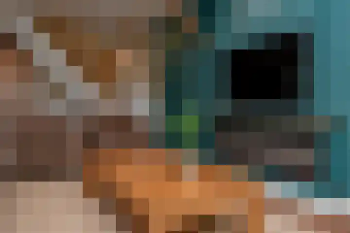 Vierschotenweg 14 't Loo Oldebroek thumbnail 68