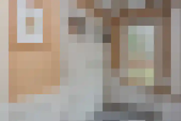 Vierschotenweg 14 't Loo Oldebroek thumbnail 7