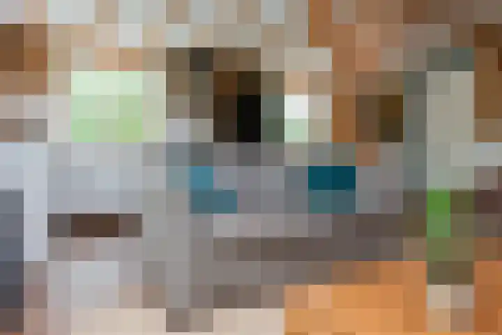 Vierschotenweg 14 't Loo Oldebroek thumbnail 70