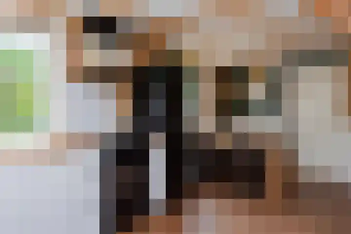 Vierschotenweg 14 't Loo Oldebroek thumbnail 72