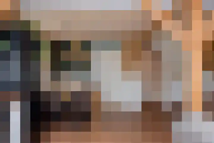 Vierschotenweg 14 't Loo Oldebroek thumbnail 74