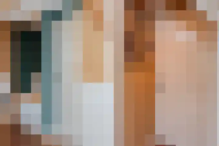 Vierschotenweg 14 't Loo Oldebroek thumbnail 76