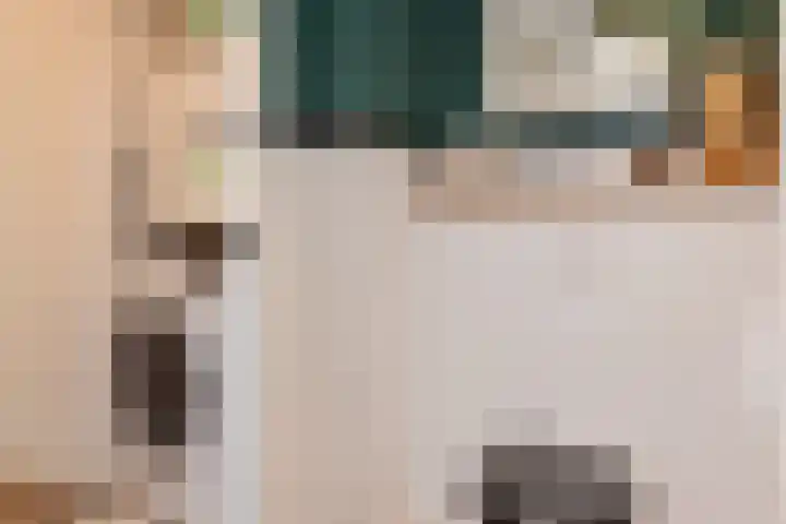 Vierschotenweg 14 't Loo Oldebroek thumbnail 79