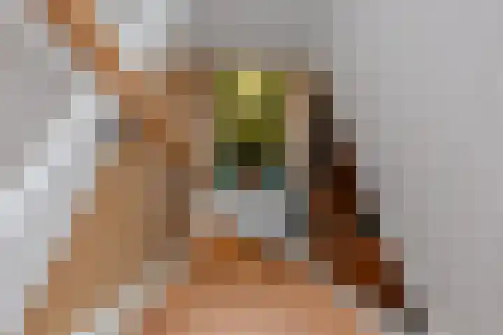 Vierschotenweg 14 't Loo Oldebroek thumbnail 80