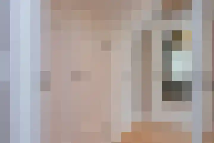 Vierschotenweg 14 't Loo Oldebroek thumbnail 86