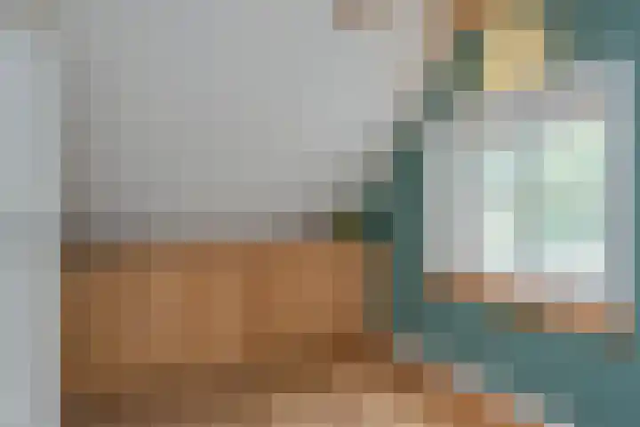 Vierschotenweg 14 't Loo Oldebroek thumbnail 89
