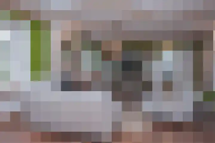 Vierschotenweg 14 't Loo Oldebroek thumbnail 9