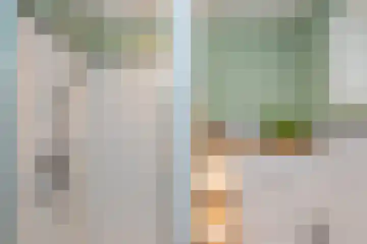 Vierschotenweg 14 't Loo Oldebroek thumbnail 94
