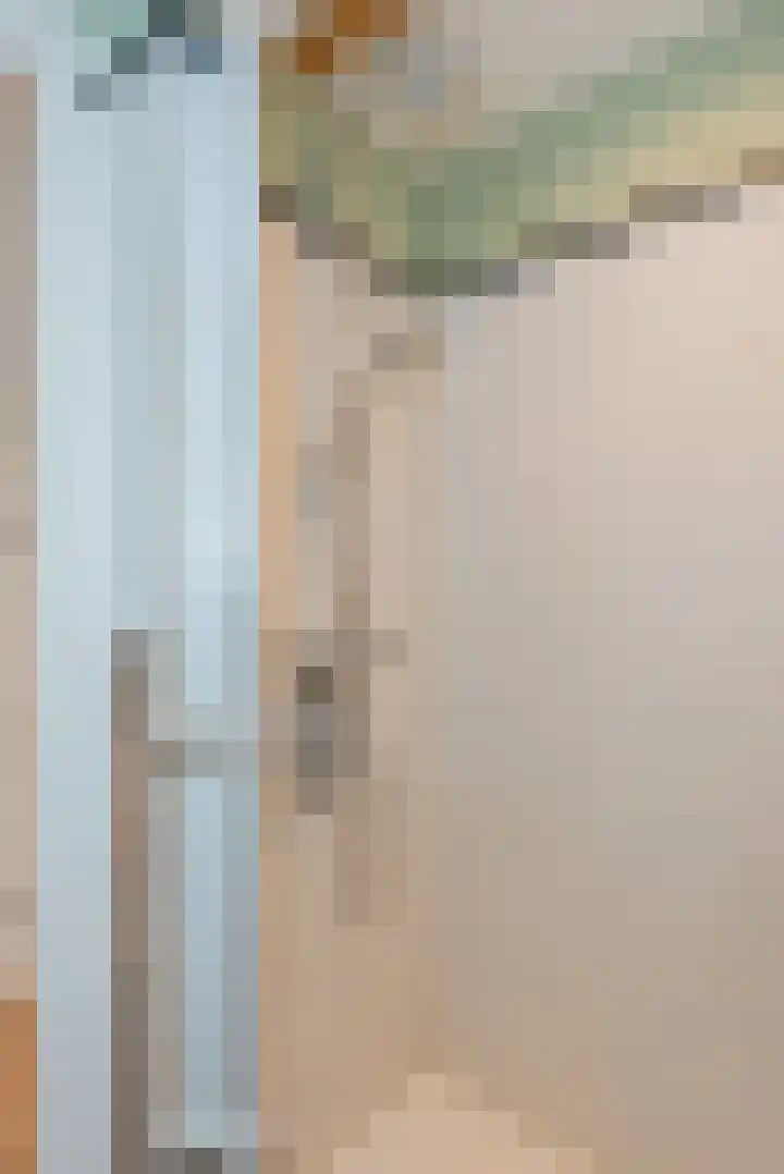 Vierschotenweg 14 't Loo Oldebroek thumbnail 97