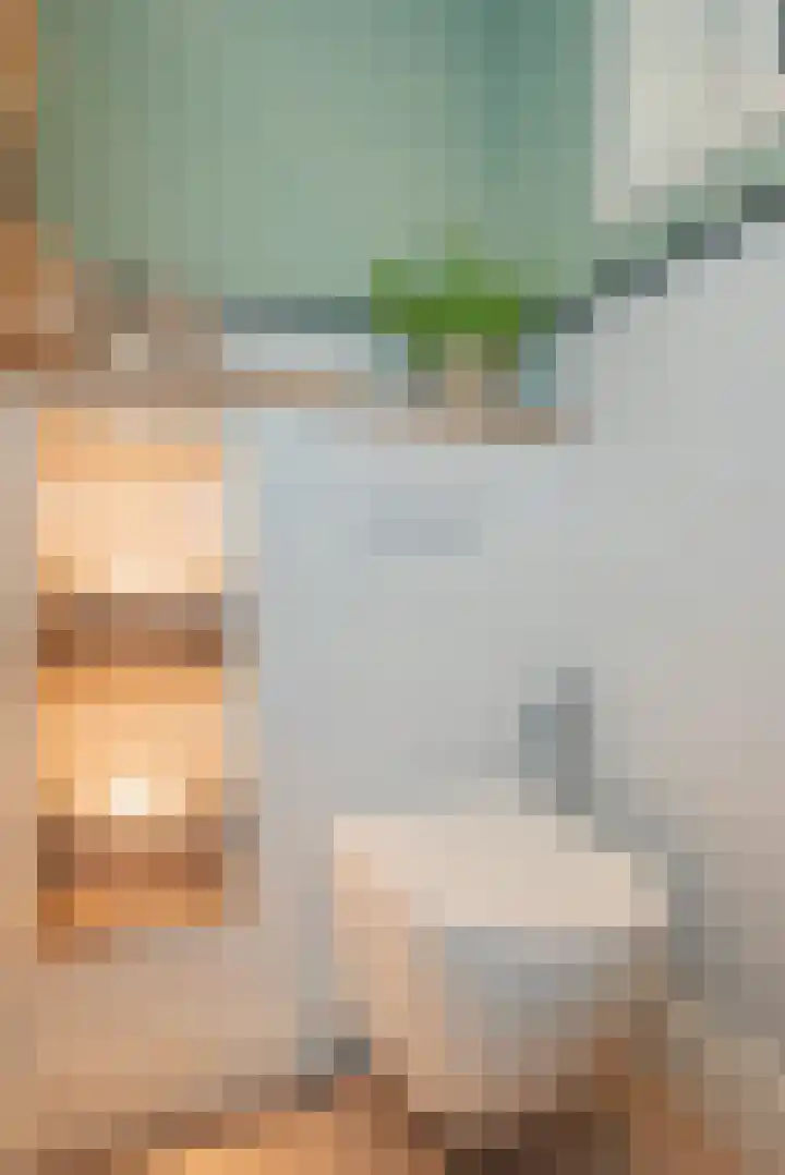 Vierschotenweg 14 't Loo Oldebroek thumbnail 98