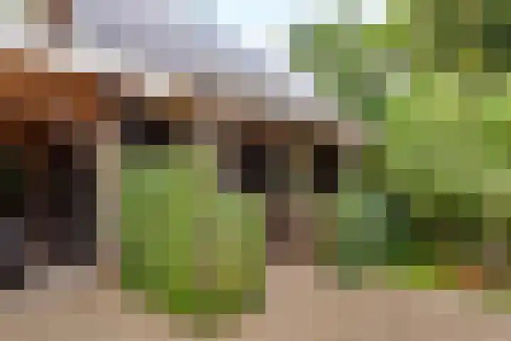 Vierschotenweg 14 't Loo Oldebroek thumbnail 99