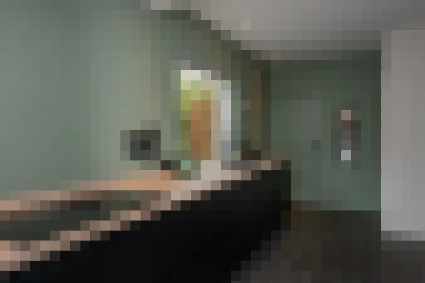 Vierschotenweg 46 't Loo Oldebroek thumbnail 12