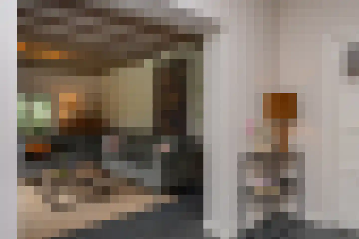 Vierschotenweg 46 't Loo Oldebroek thumbnail 19
