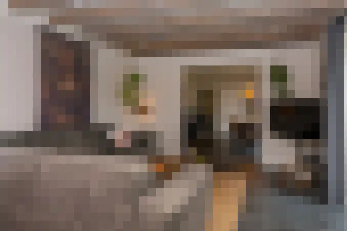 Vierschotenweg 46 't Loo Oldebroek thumbnail 21