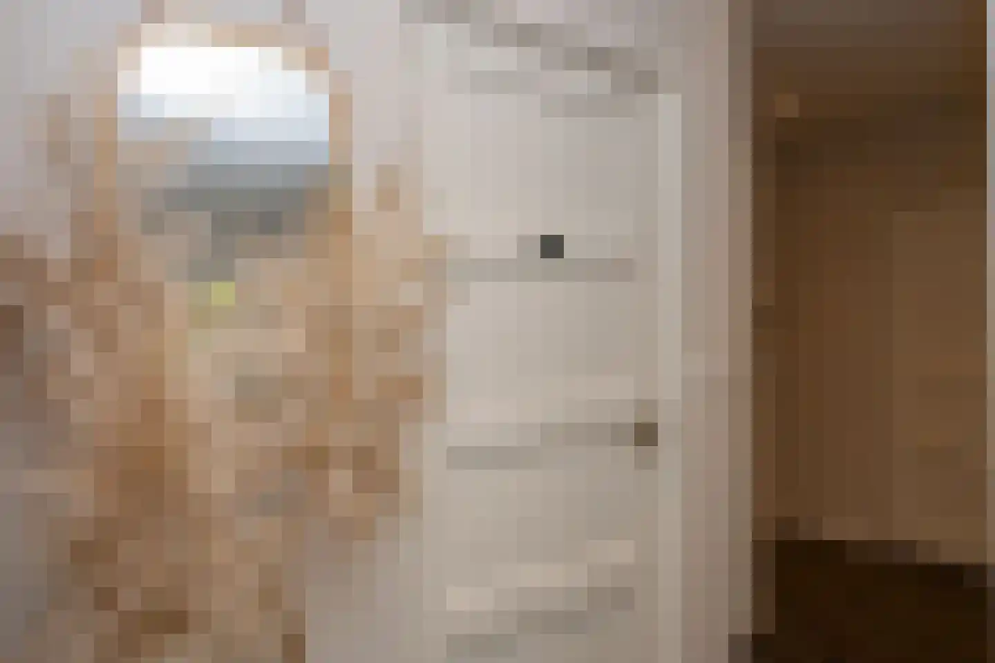 Vierschotenweg 46 't Loo Oldebroek thumbnail 23