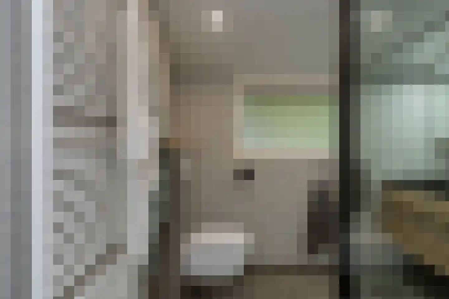 Vierschotenweg 46 't Loo Oldebroek thumbnail 27