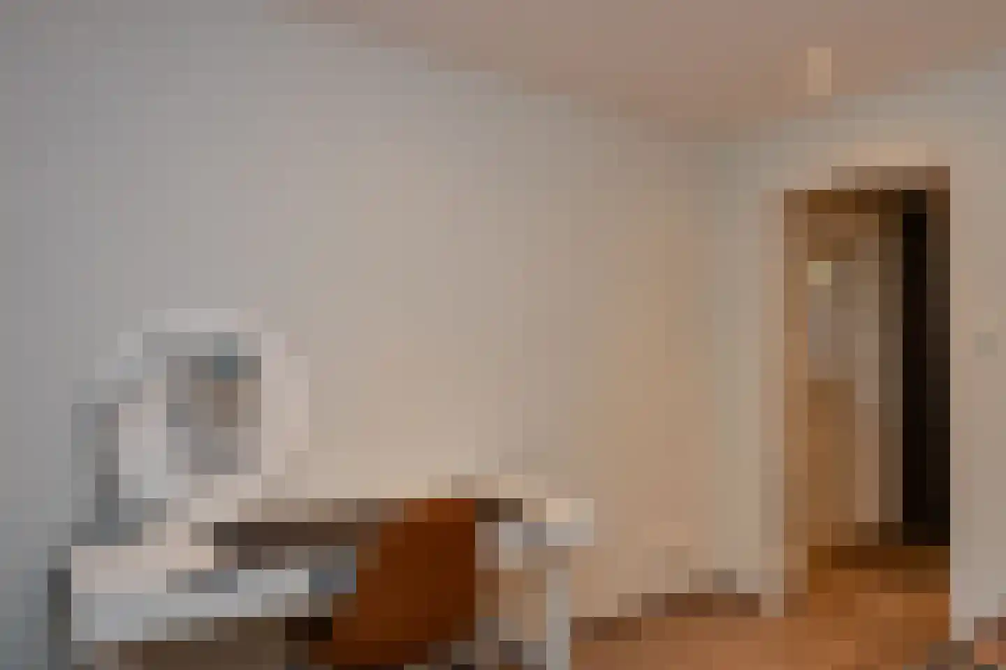 Vierschotenweg 46 't Loo Oldebroek thumbnail 36
