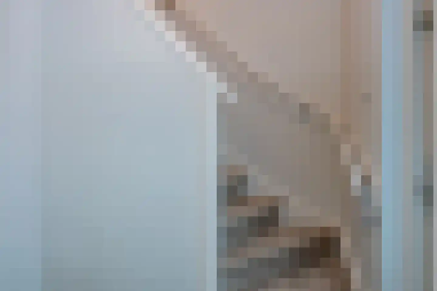 Vierschotenweg 46 't Loo Oldebroek thumbnail 39