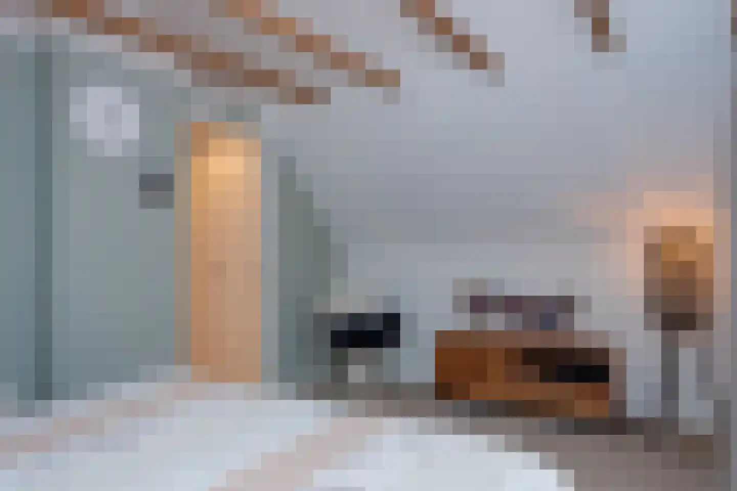 Vierschotenweg 46 't Loo Oldebroek thumbnail 42