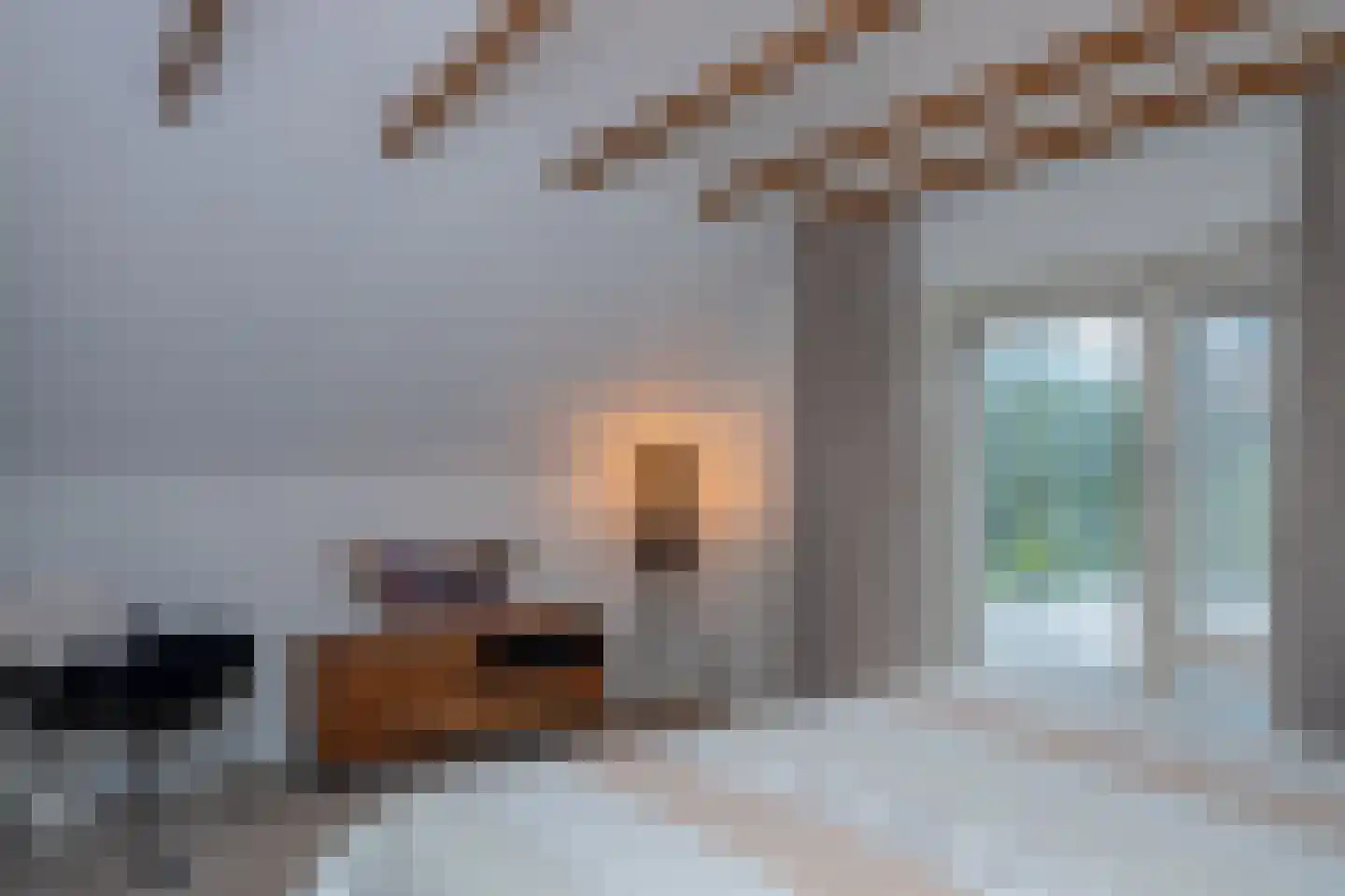 Vierschotenweg 46 't Loo Oldebroek thumbnail 43