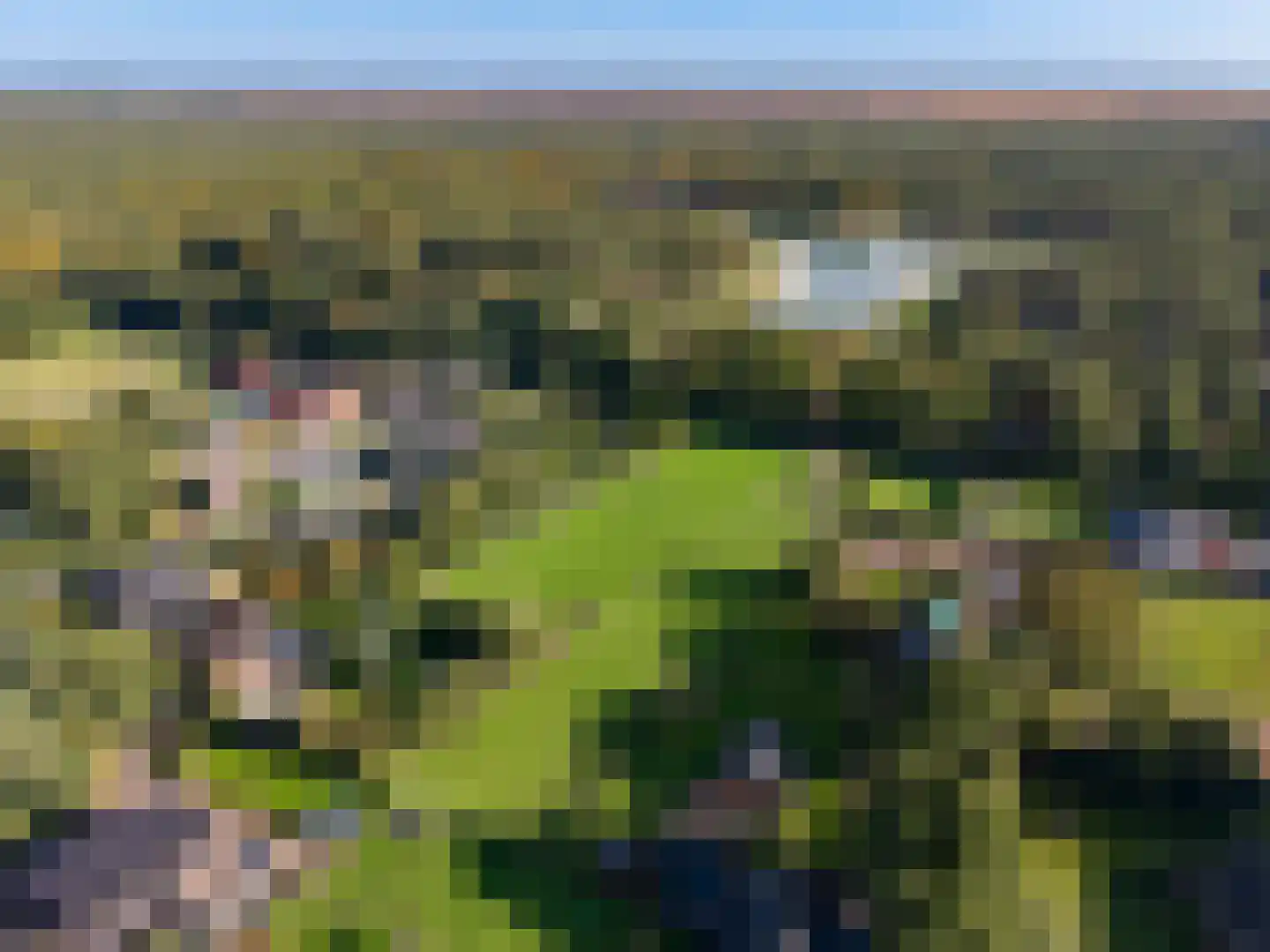 Vierschotenweg 46 't Loo Oldebroek thumbnail 5