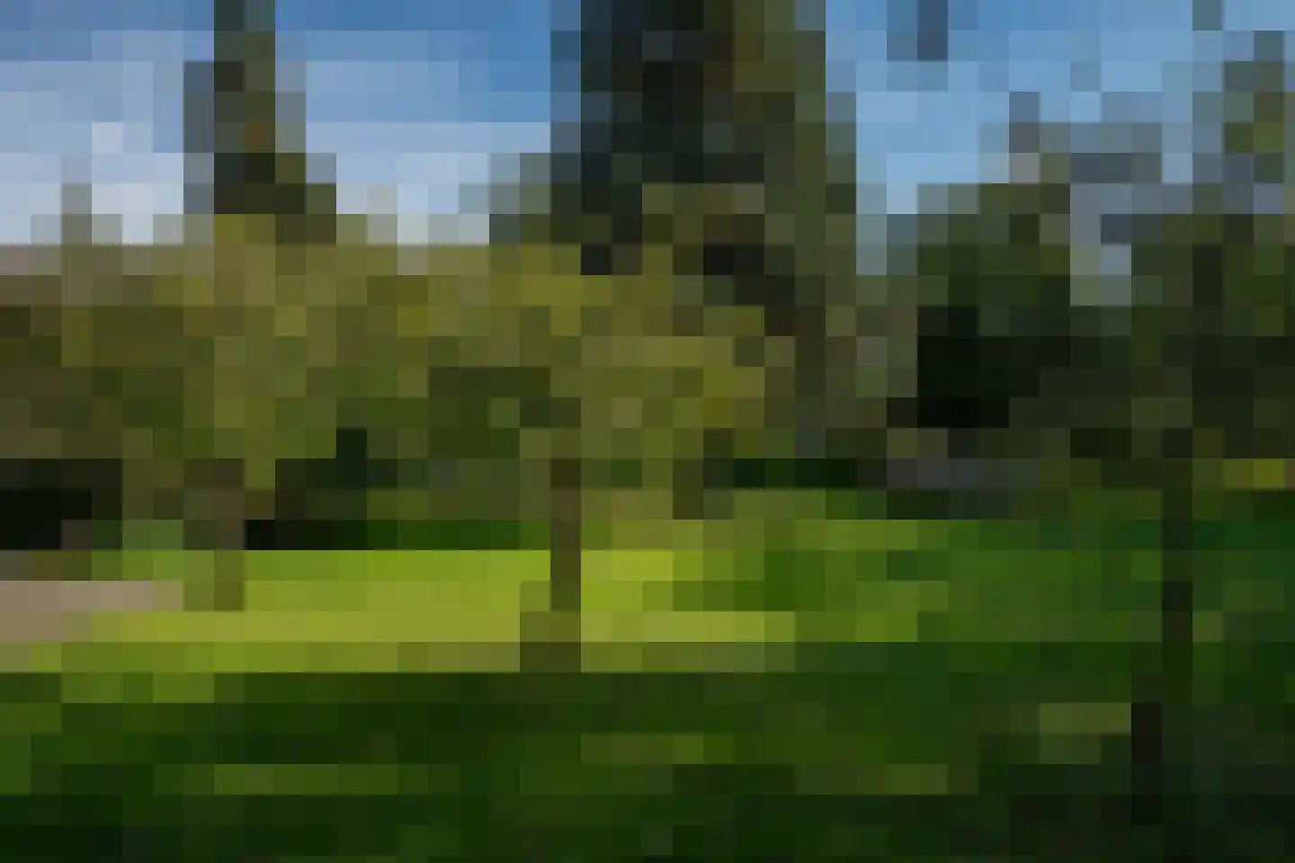 Vierschotenweg 46 't Loo Oldebroek thumbnail 58